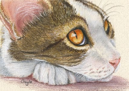Oil on cats fur However, if your cat develops a skin condition, coconut oil is a natural remedy that can be applied topically or given orally to improve skin and coat. Uses of Coconut Oil Coconut oil can be used to improve a variety of conditions, including thyroid, digestion, fatigue and diabetes.